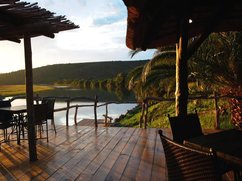 Kariega Game Reserve River Lodge Kenton-on-Sea Eksteriør billede